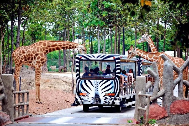 Chiang Mai Night Safari-min