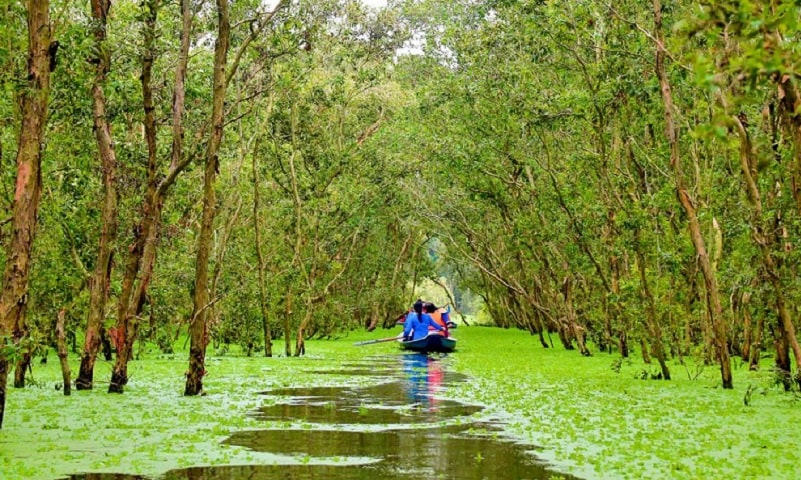 HÀ NỘI- TP.HCM- TIỀN GIANG- BẾN TRE- TÂY NINH- VŨNG TÀU