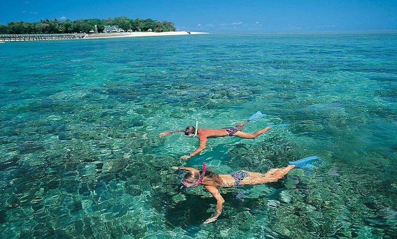 Đảo San Hô – Coral Island-min