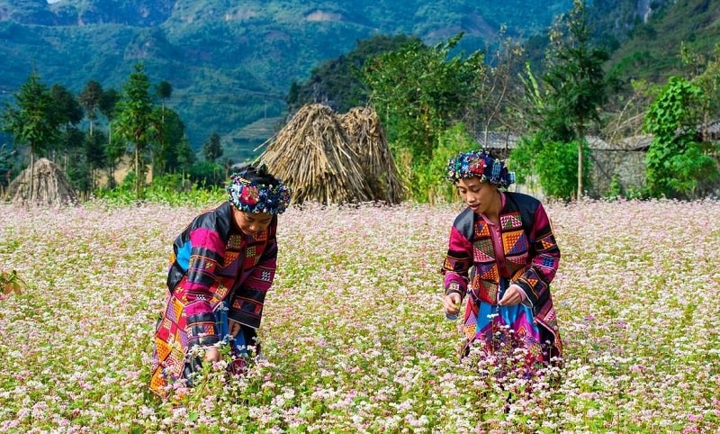 -HÀ GIANG-min