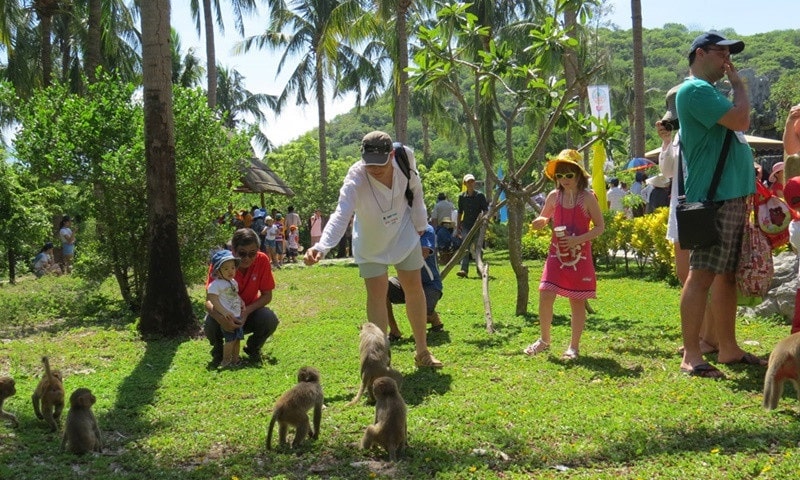 HÒN LAO ĐẢO KHỈ-min