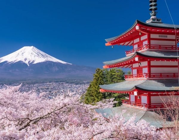 HÀ NỘI – NAGOYA – KYOTO – SHIRAKAWAGO – NÚI PHÚ SĨ – TOKYO – (THƯỞNG THỨC THỊT BÒ HIDA)