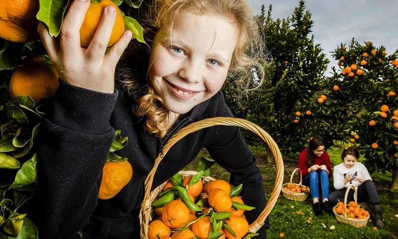 Rayners Orchard Farm-min