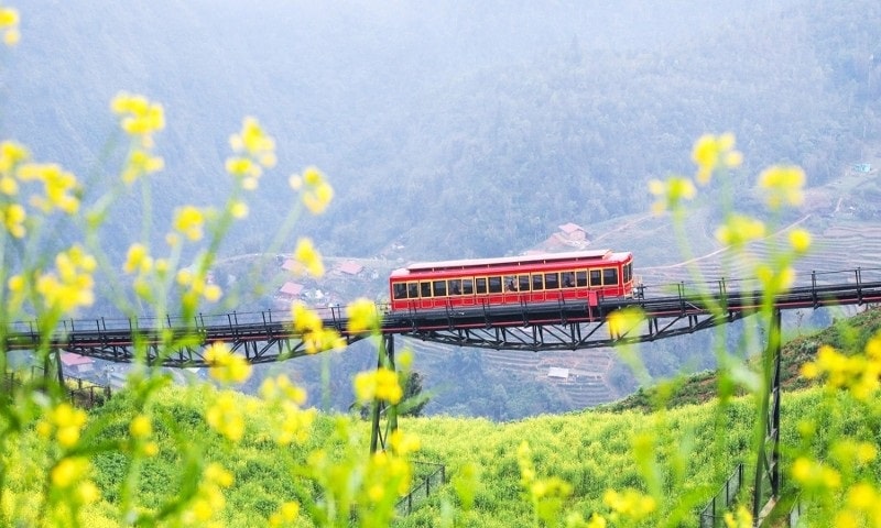 tau-hoa-leo-nui-min