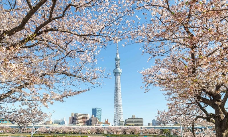 Tháp Tokyo Sky Tree-min