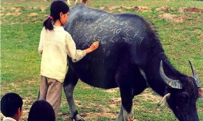 Shirl