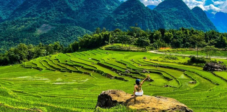Pu Luong rice terraces in the green season – Best Time to Visit Pu Luong Nature Reserve