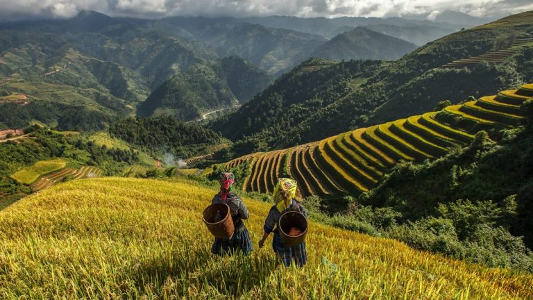 Sapa rice terraces and mountain village – Sapa Travel Guide – Best Things to Do & Travel Tips